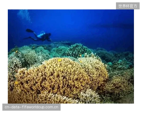 无处不在的边缘摄像头，凭什么让观众相信自己的生物信息数据是安全的？
